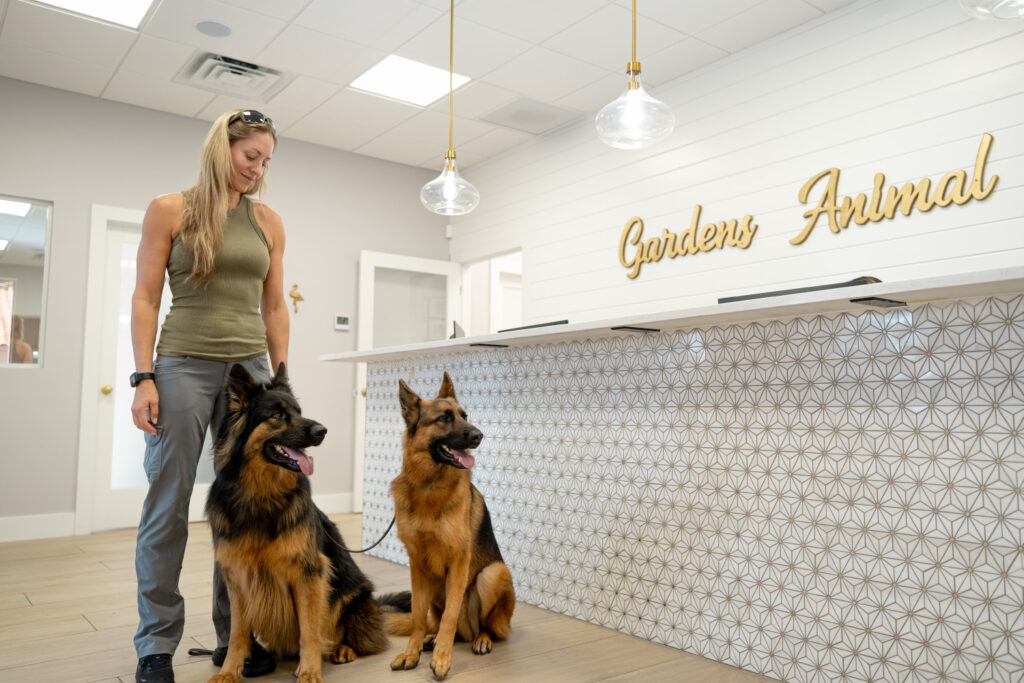 Gardens Animal Hospital Charity Initiatives