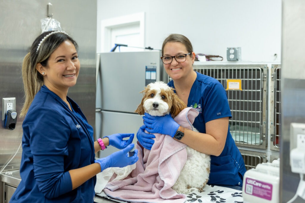 Palm Beach Gardens Animal Hospital Dog Charity Initiatives