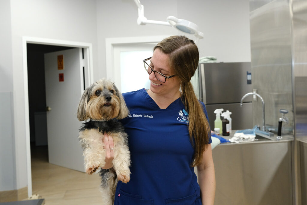 Gardens Animal Hospital Pet Charity