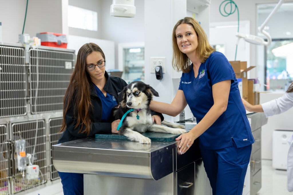 Dr Lisa Ciucci veterinarian with dog at Gardens Animal Hospital
