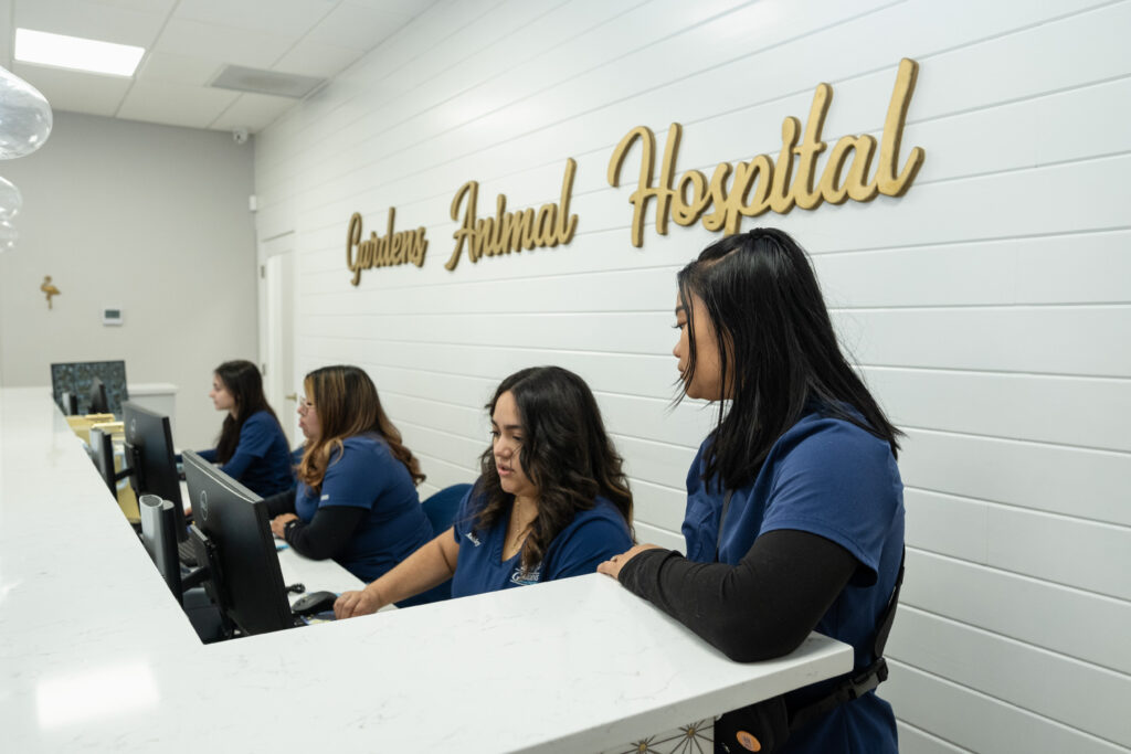 Gardens Animal Hospital check-in desk in Palm Beach Gardens