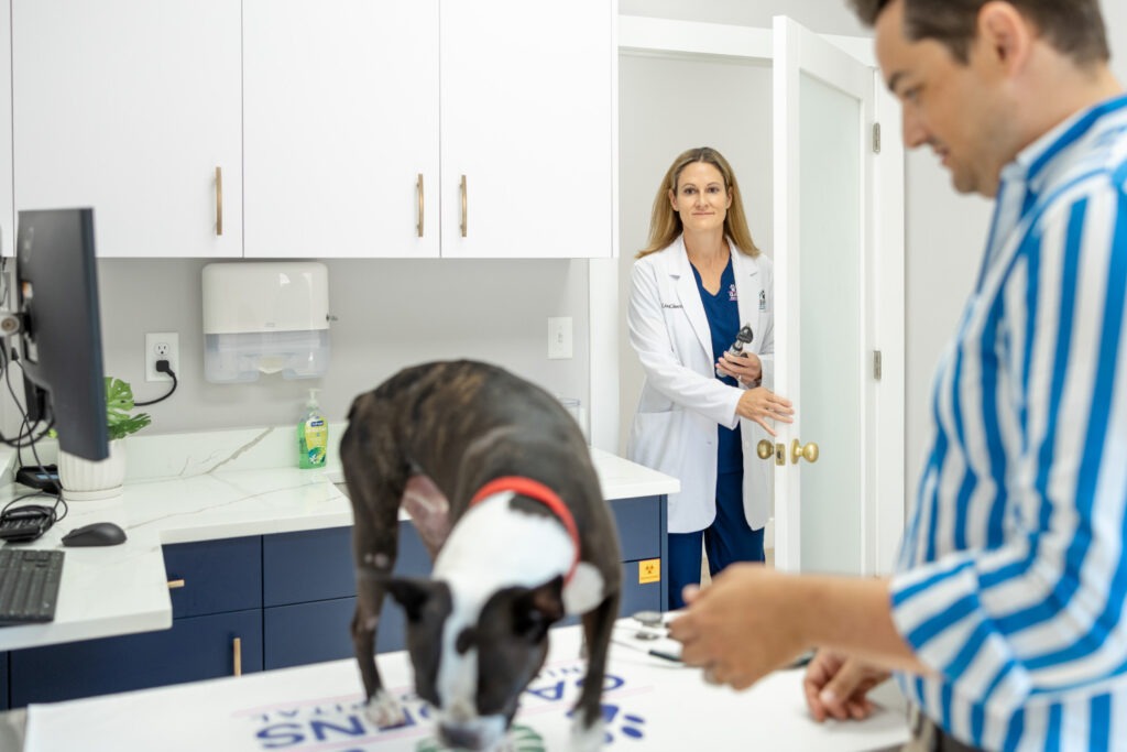 Palm Beach Gardens Animal Hospital Urgent Care for Dogs
