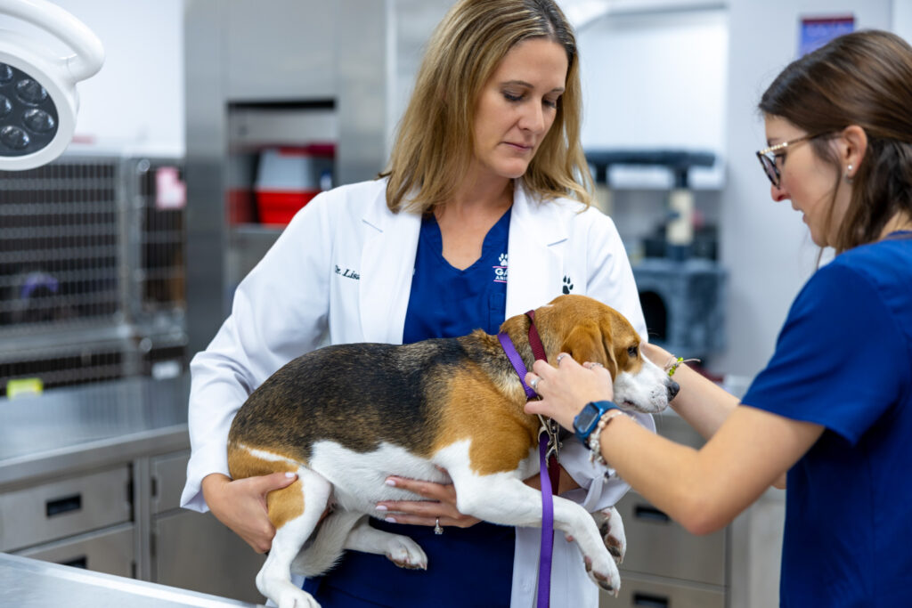 Dr Lisa Ciucci and a dog at Gardens Animal Hospital