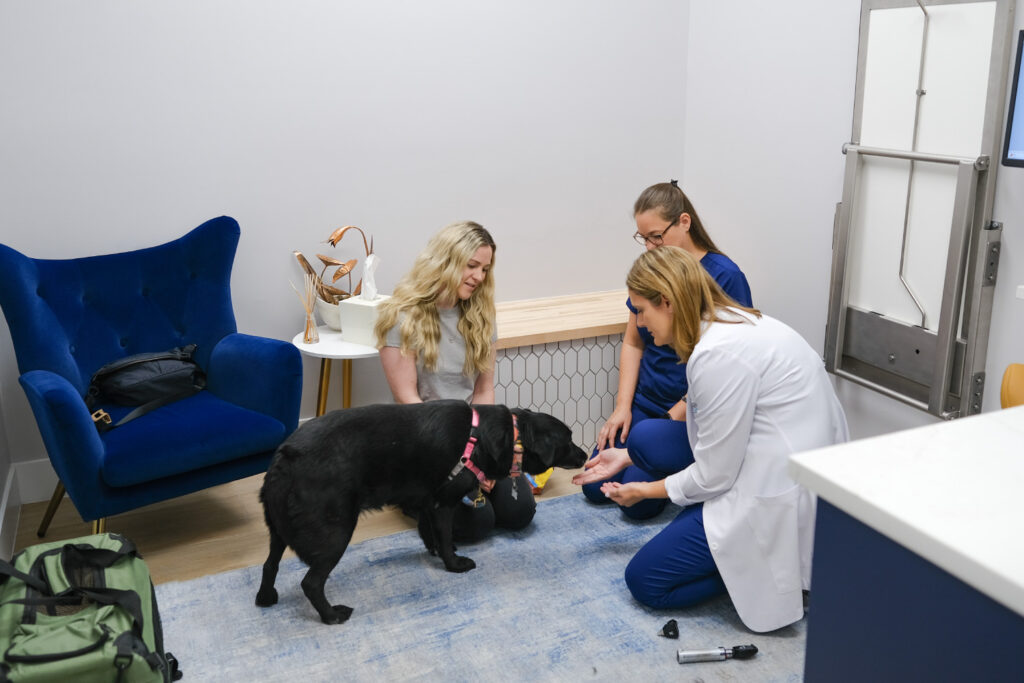 Gardens Animal Hospital Dr Lisa Ciucci with a black dog
