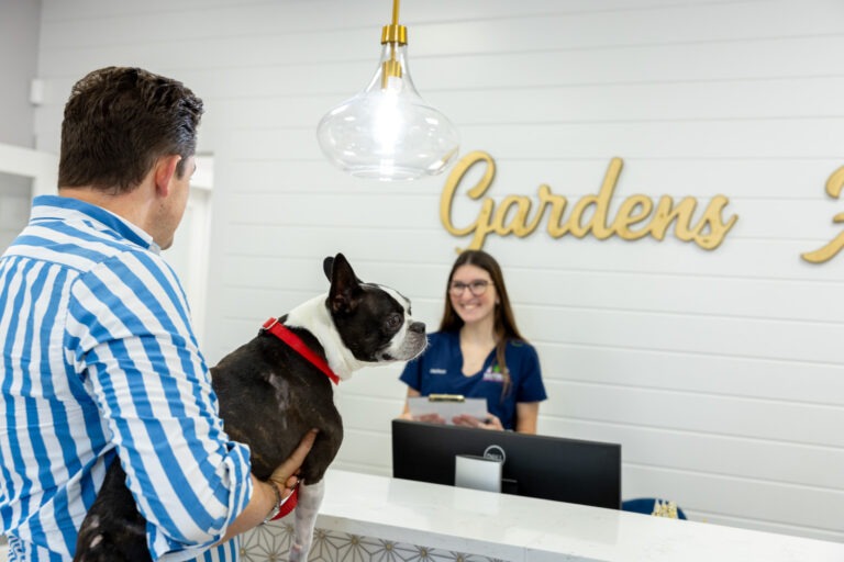 Palm Beach Gardens Animal Hospital Front Desk and Small Dog