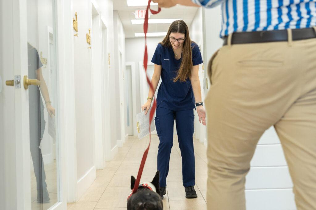 Staff member and dog at Gardens Animal Hospital in Palm Beach Gardens