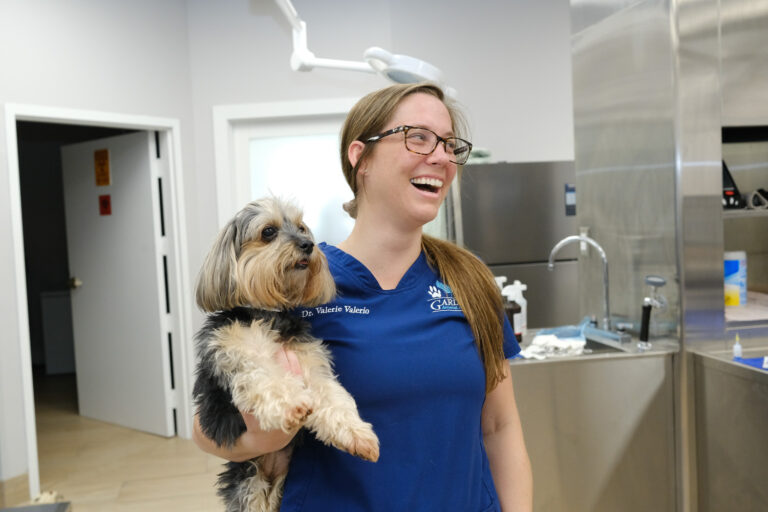 Staff member at Gardens Animal Hospital