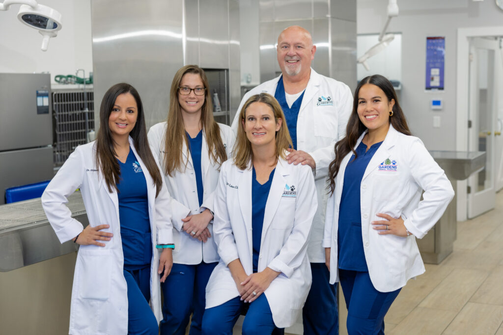 Vet staff at Gardens Animal Hospital in Palm Beach Gardens, Florida