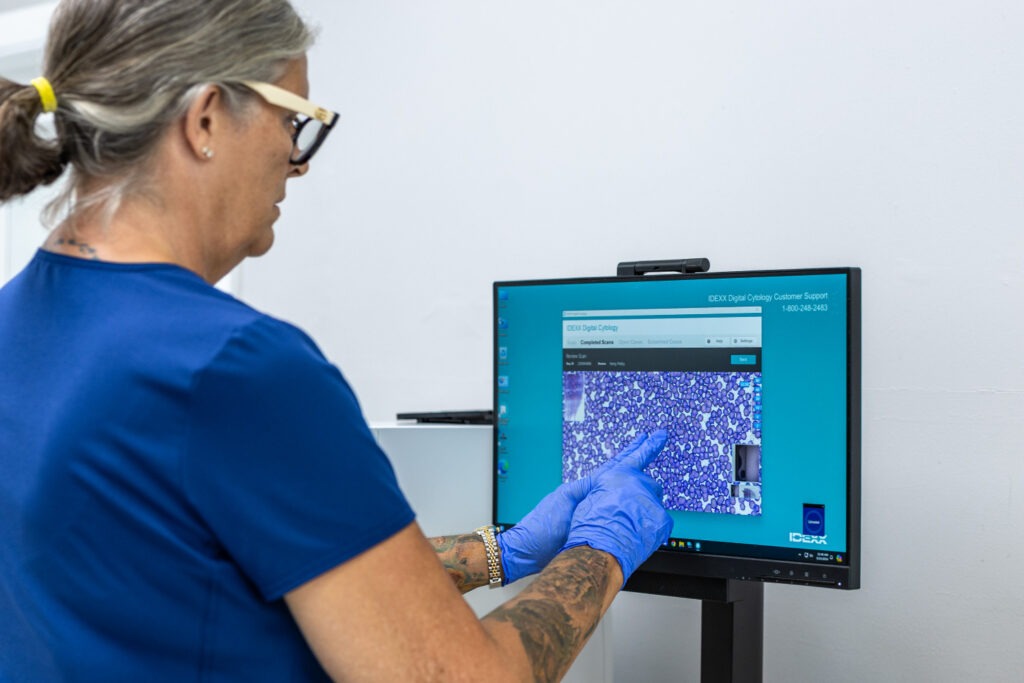 Palm Beach Gardens Animal Hospital Pet Laboratory for Diagnostics