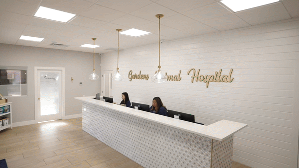 Palm Beach Gardens Animal Hospital