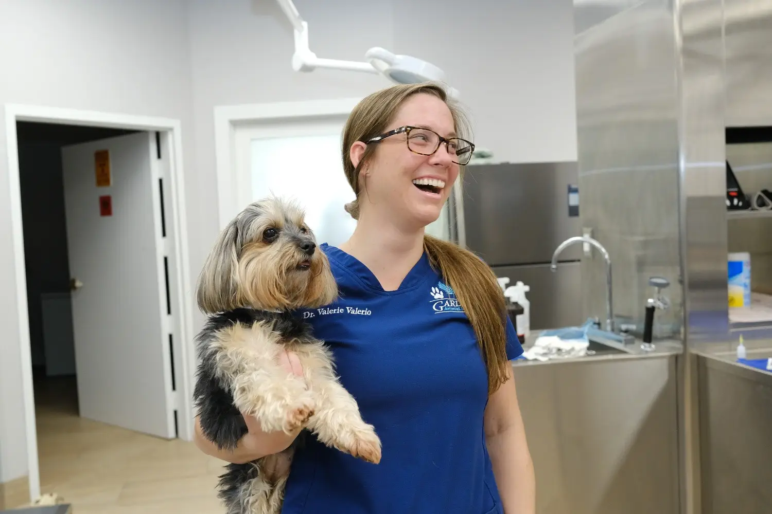 pet boarding in Palm Beach Gardens at Gardens Animal Hospital
