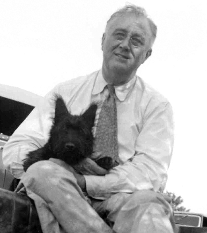 Franklin D Roosevelt and his Scottish Terrier, Fala