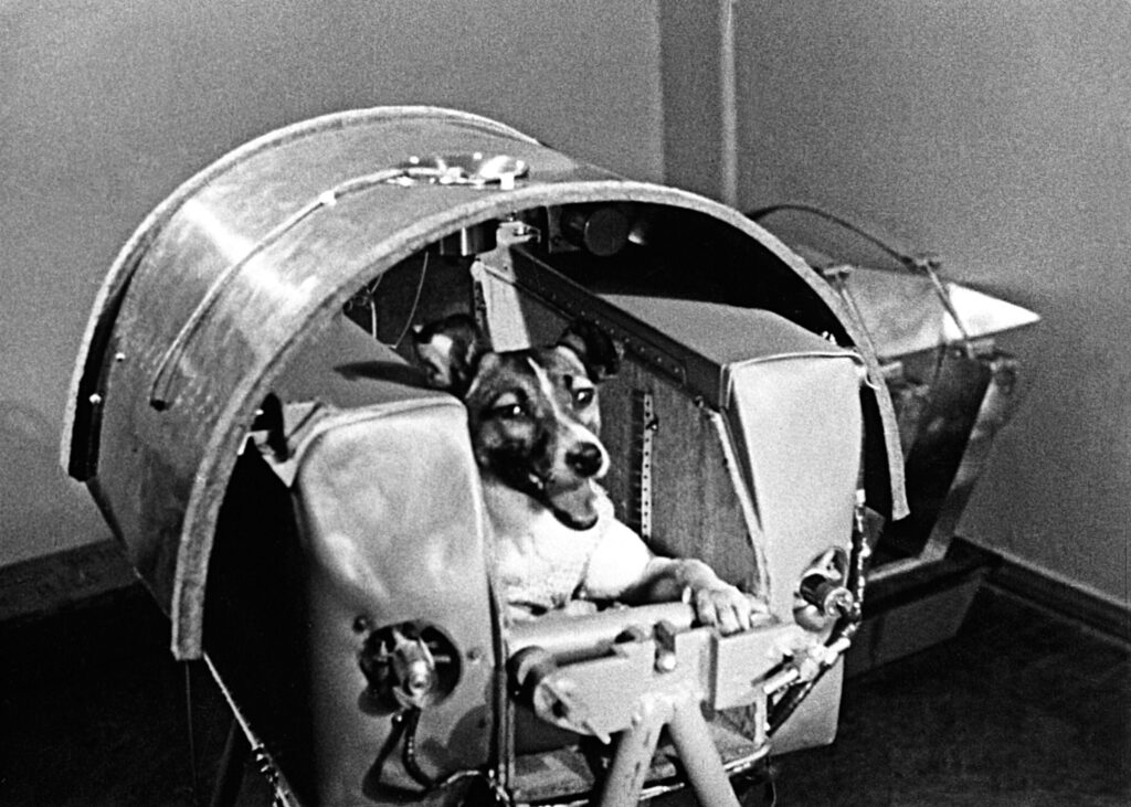 Laika, the Russian Cosmonaut Dog