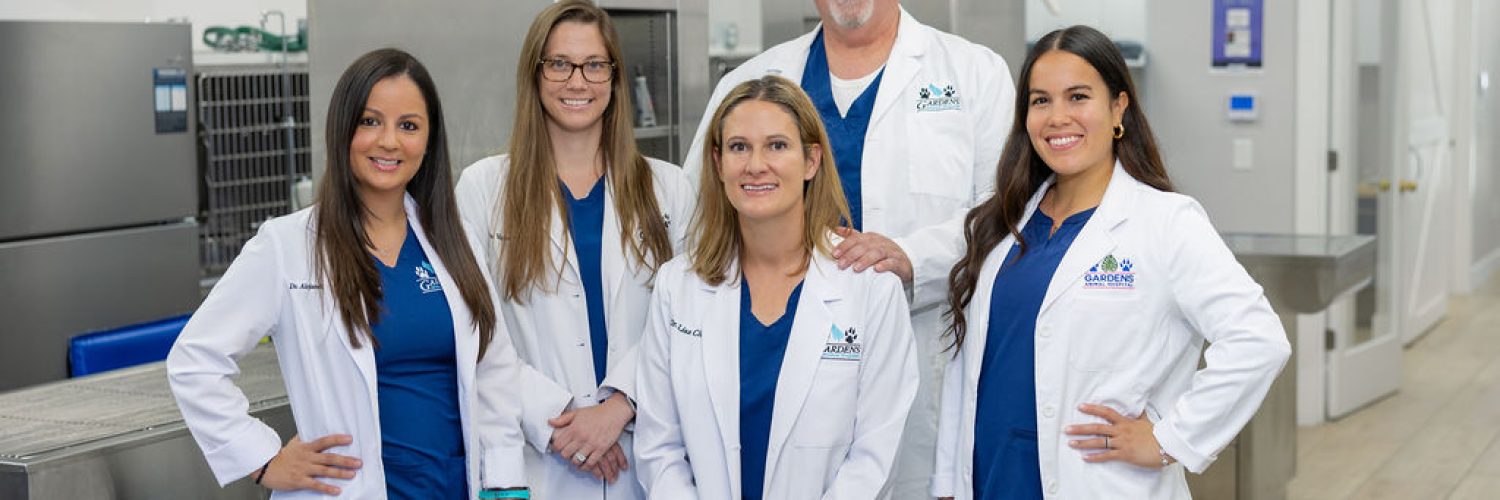 Palm Beach Gardens Animal Hospital Staff