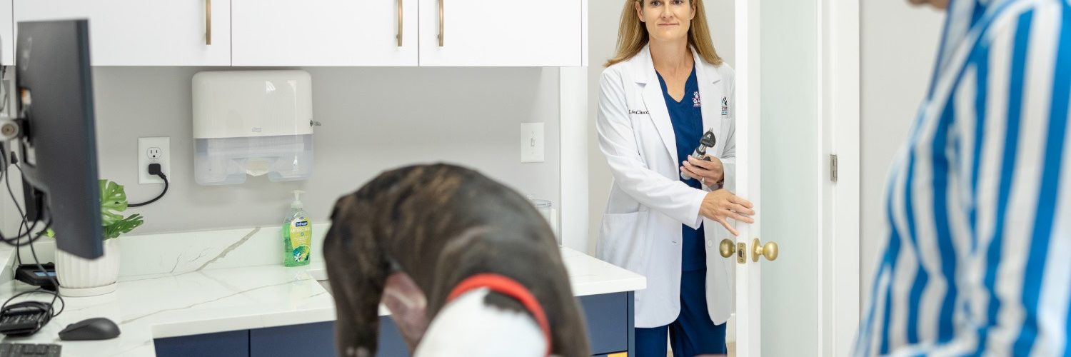 Palm Beach Gardens Animal Hospital Urgent Care for Dogs