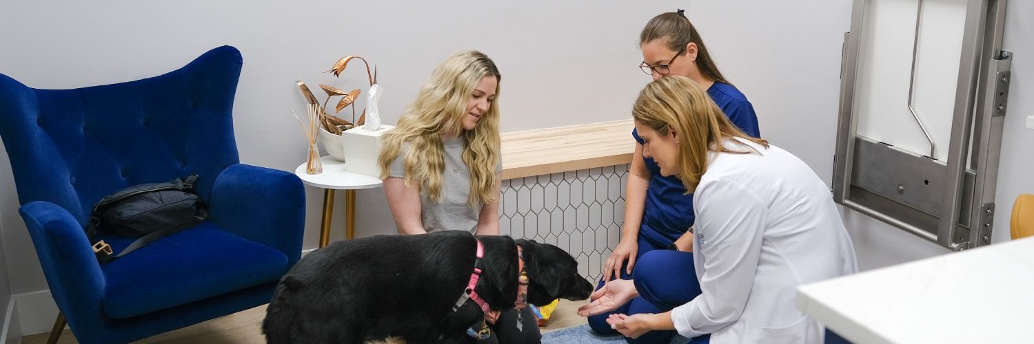 Gardens Animal Hospital Dr Lisa Ciucci with a black dog