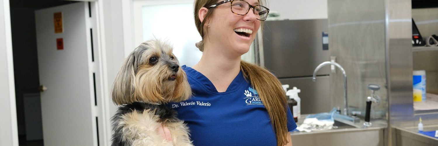 Staff member at Gardens Animal Hospital
