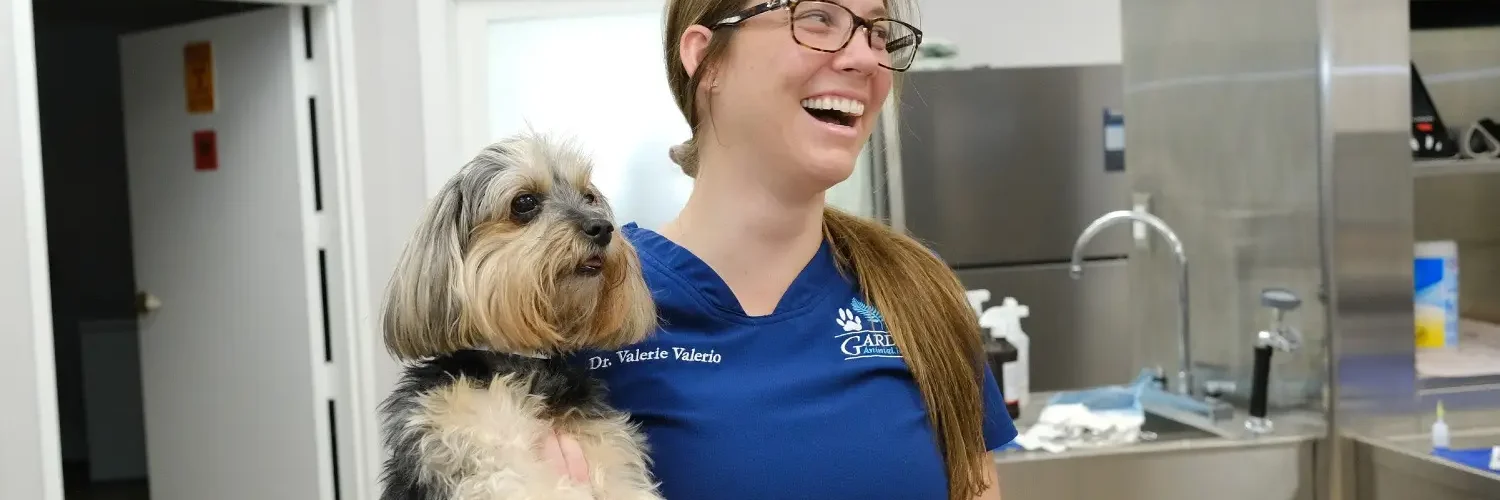 pet boarding in Palm Beach Gardens at Gardens Animal Hospital