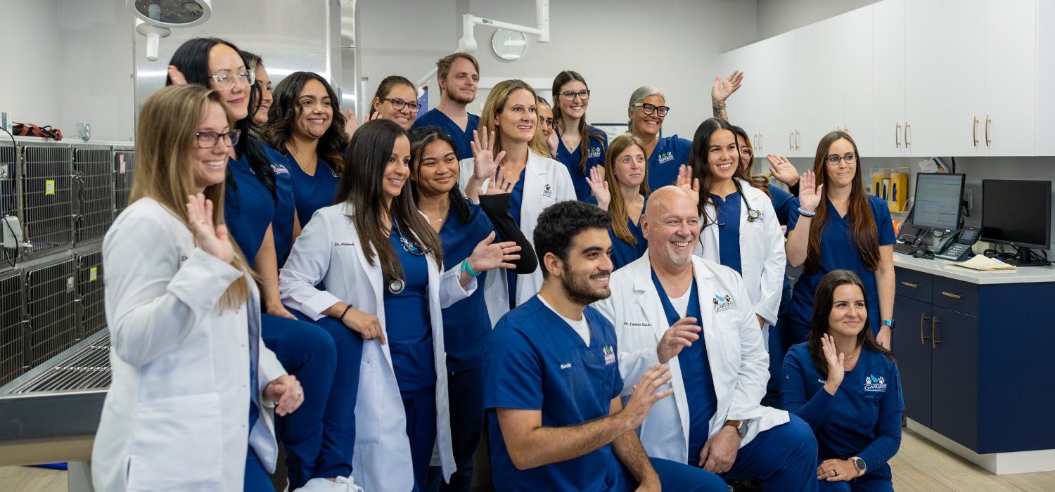 The staff at Gardens Animal Hospital