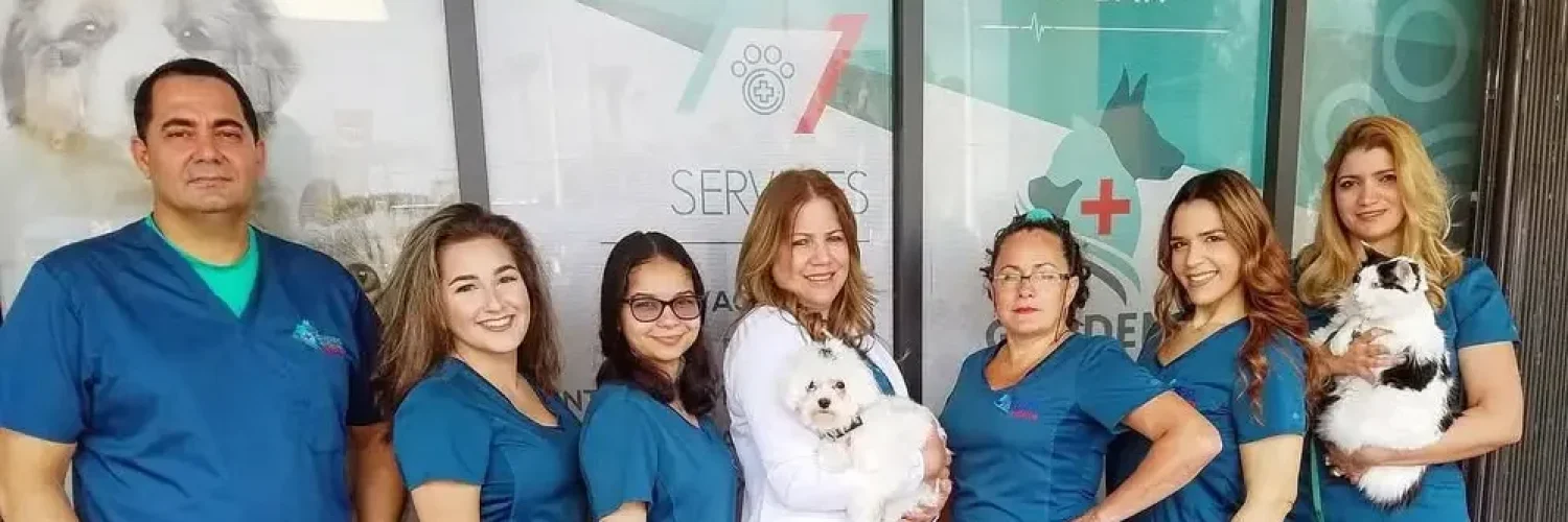 Veterinarians of North Palm Beach