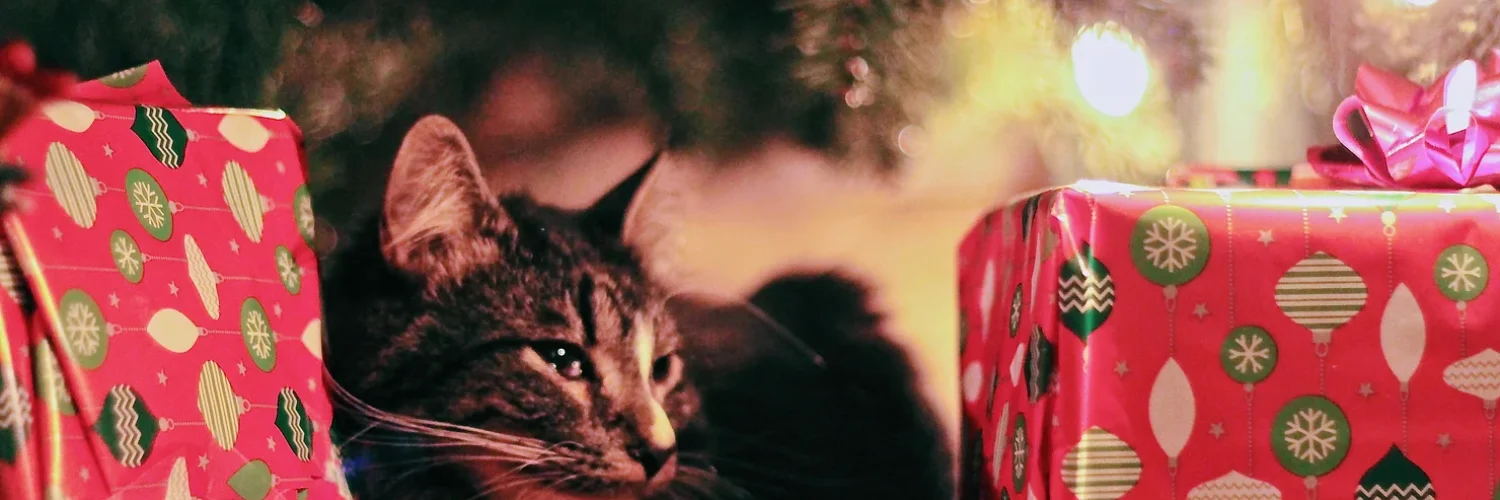 Cat Under Christmas Tree