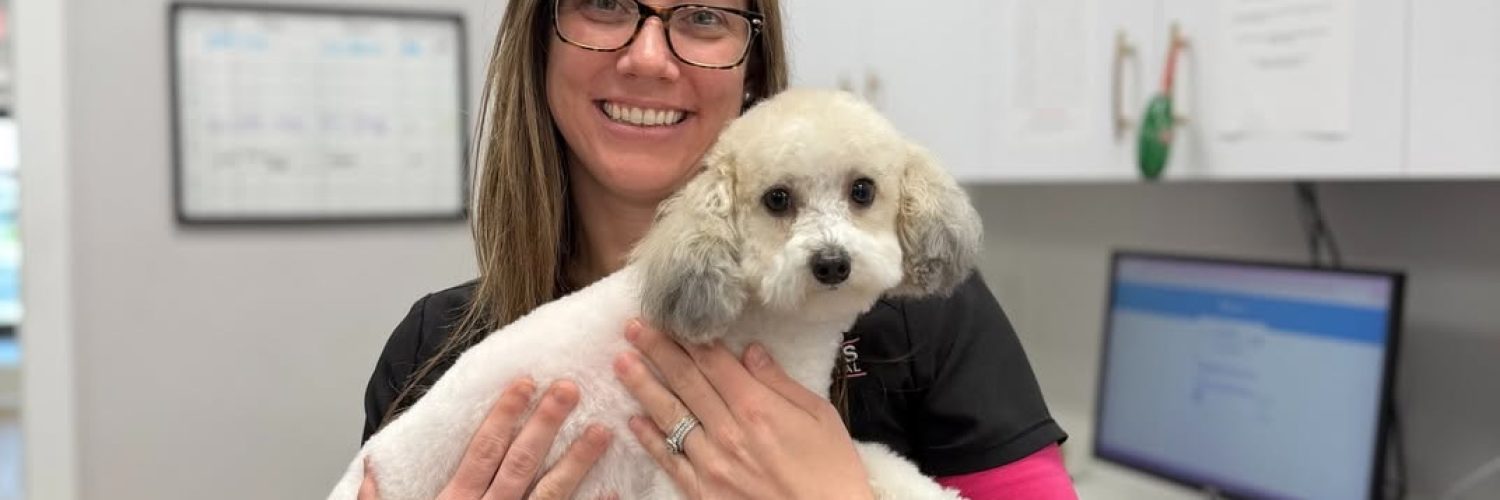 female veterinarian with dog